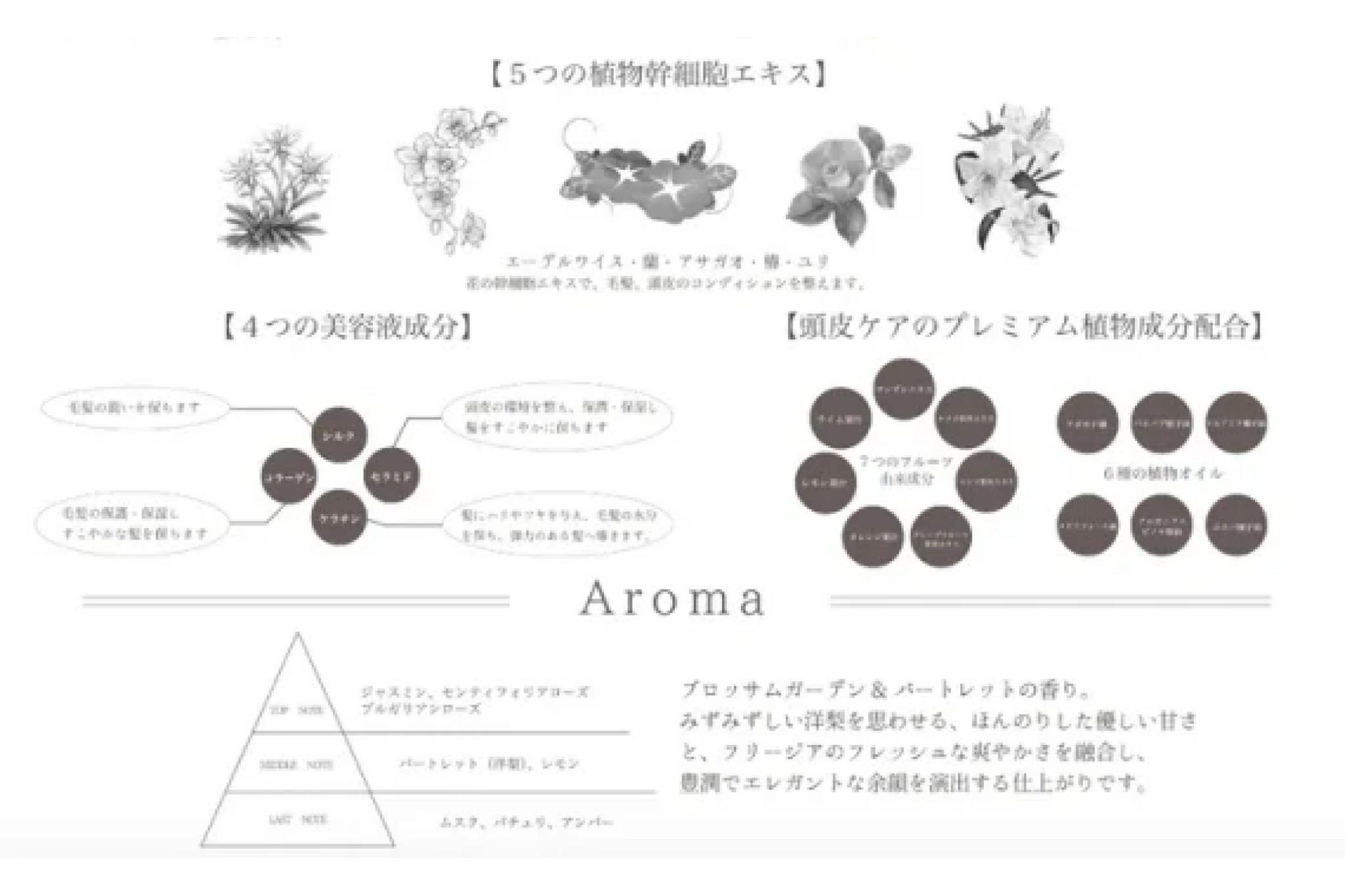 公式】soiré ソワレ プレミアムシャンプー&トリートメントセット