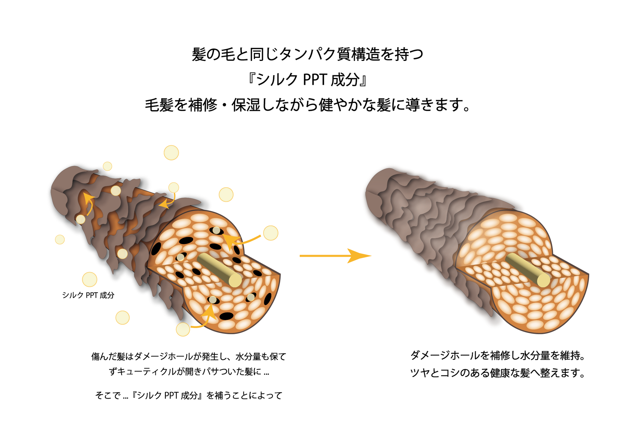 公式】soiré ソワレ シャンプー&トリートメント 詰め替えセット 1000ml 公式】soiré ソワレ シャンプー&トリートメント 詰め替えセット 1000ml