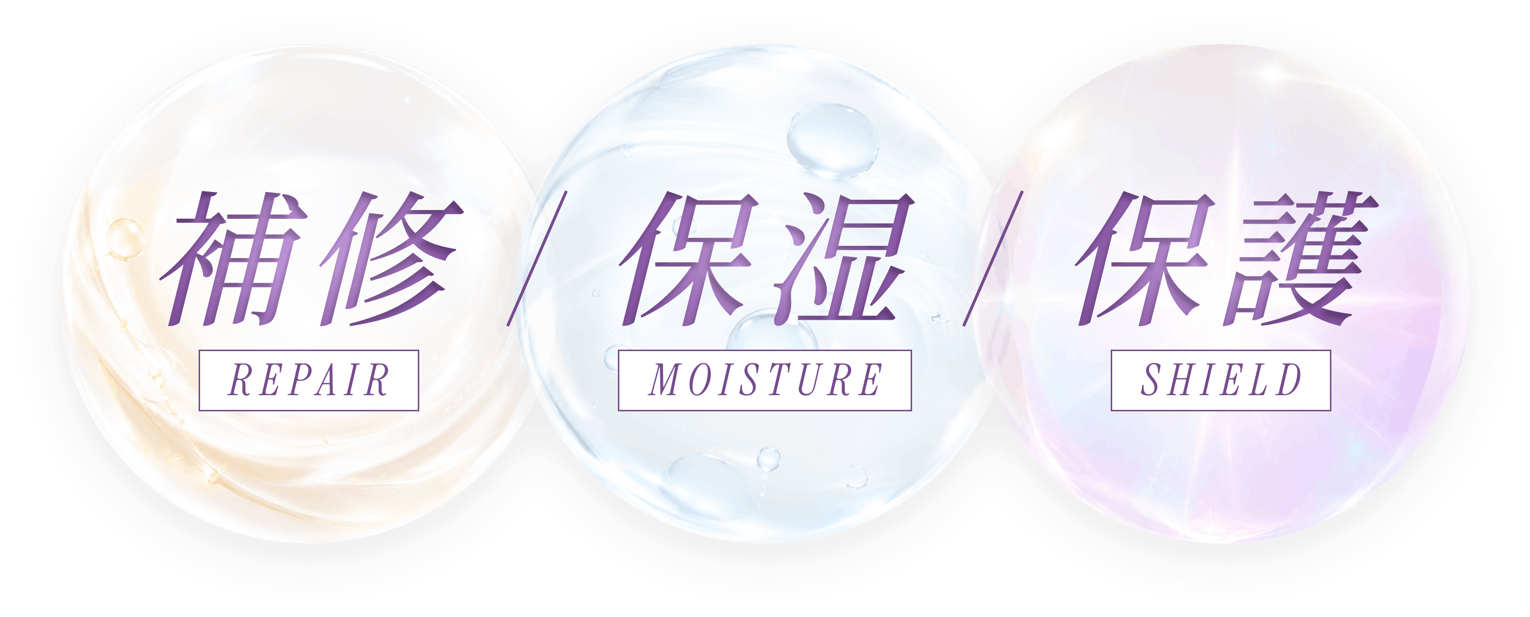 REPAIR・MOISTURE・SHIELD 3つのアプローチ図解