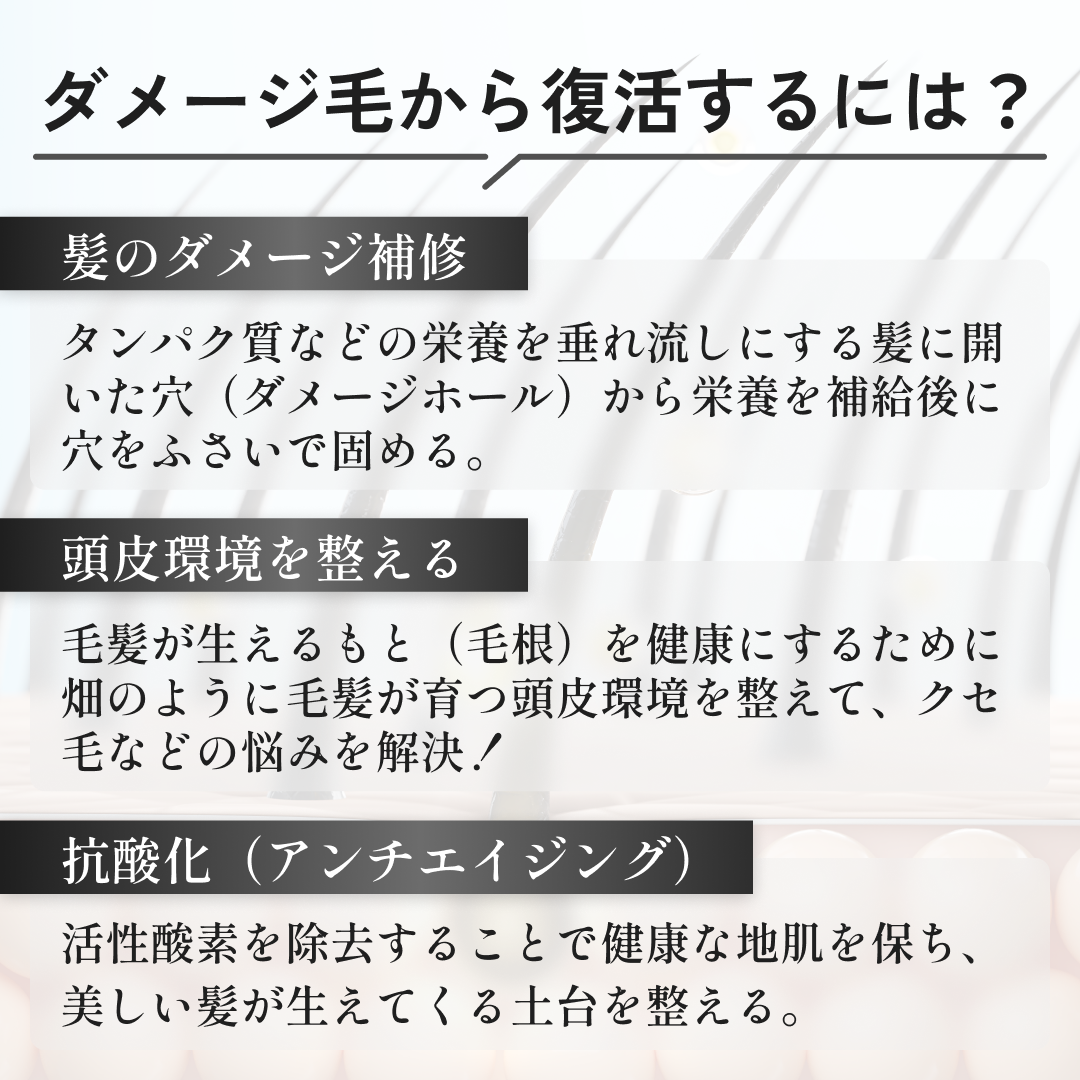 公式】silkシルク リペア シャンプー&トリートメントセット RH 280ml