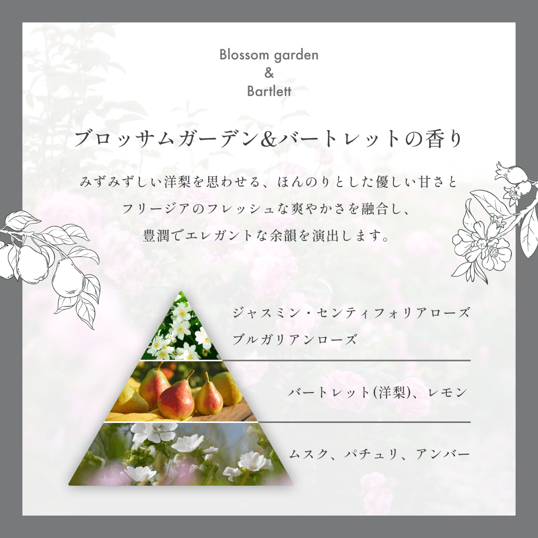 公式】soiréソワレ プレミアム シャンプー 1000ml 詰め替え用 | 【公式 公式】soiréソワレ プレミアム シャンプー 1000ml 詰め替え用 | 【公式